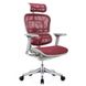 Ergohuman Plus Luxury Эргономичное кресло Зелёный, Есть - 1