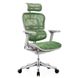 Ergohuman Plus Luxury Эргономичное кресло Зелёный, Есть