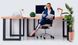Колеса STEALTHO Magic Office Chair Caster Wheels для офісних крісел (5 шт.) - 4