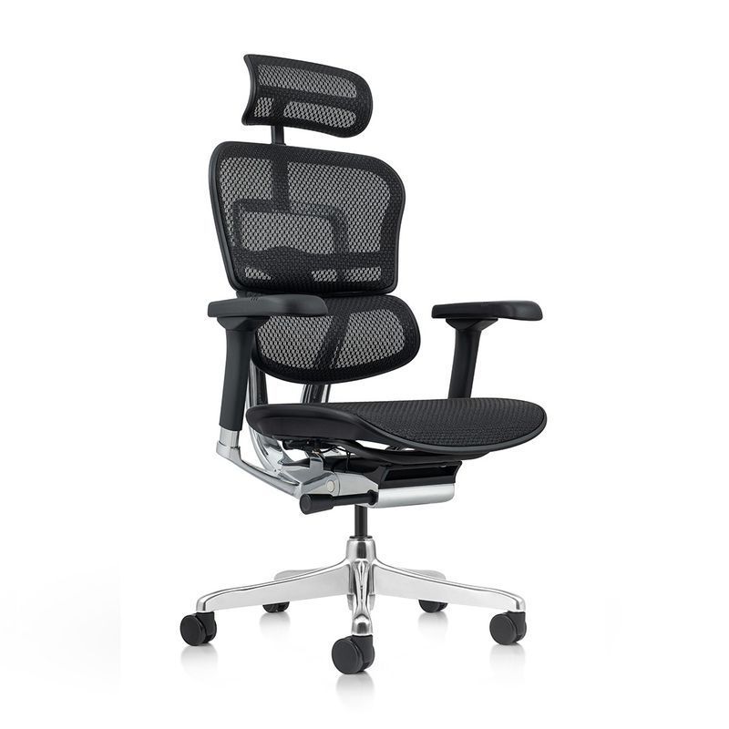 Крісло ERGOHUMAN ELITE 2 (EHE2-AB-HAM-5D-L, СІТКА T-168-B1 BLACK), ергономічне