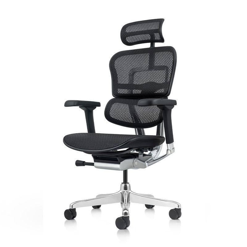 Крісло ERGOHUMAN ELITE 2 (EHE2-AB-HAM-5D-L, СІТКА T-168-B1 BLACK), ергономічне
