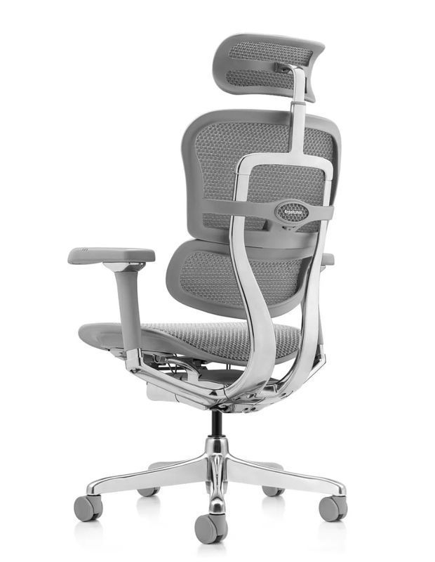 Кресло ERGOHUMAN LUXURY 2, эргономичное